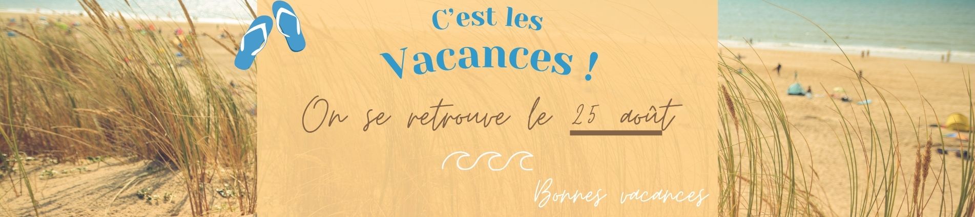 Sacs boucherie
