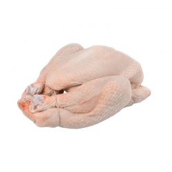 Bague Élastique Poulet 15 cm - Nev. Coton - 1 kg