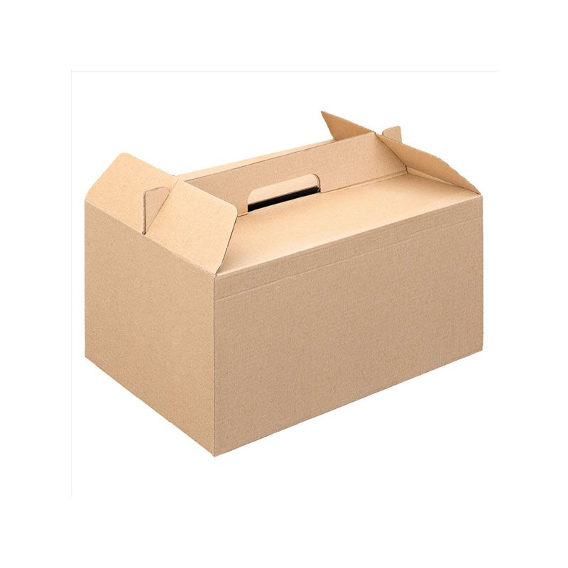 Boîte repas carton avec poignée imprimé nature 20x28x15 cm