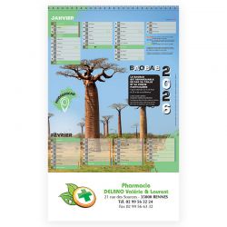 Calendrier spirales - 22x36 cm - motif Arbres remarquables