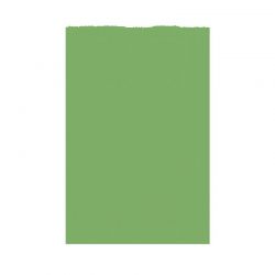 Sachet kraft vert personnalisé pharmacie | Proébo Promoplast