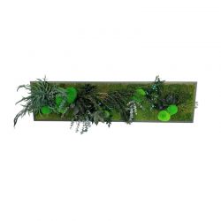 Cadre végétal stabilisé - Miena - 160x40 cm