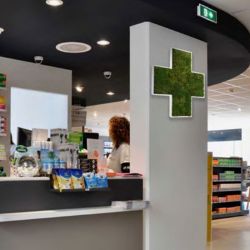 Croix pharmacie végétale PVC blanc - Lichen vert forêt