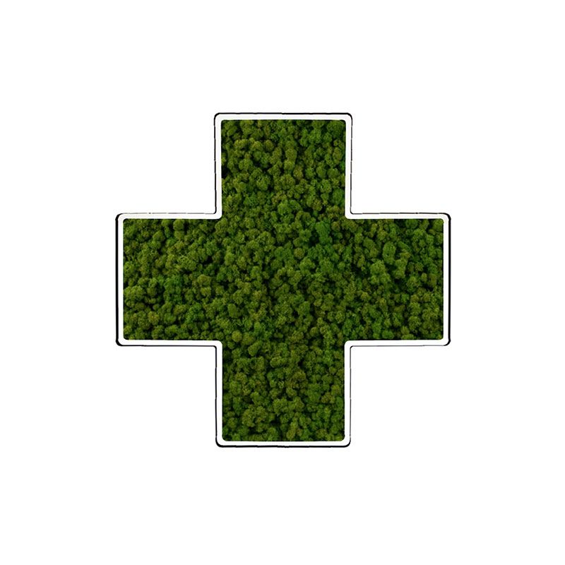 Croix pharmacie végétale 30x30cm PVC blanc- Lichen vert forêt