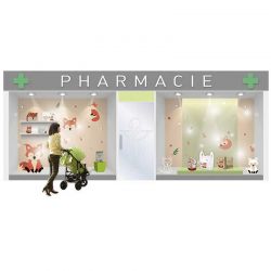 Kit de communication pharmacie : kit bébé renard